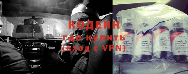 хмурый Ладушкин