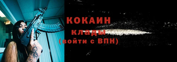 хмурый Ладушкин